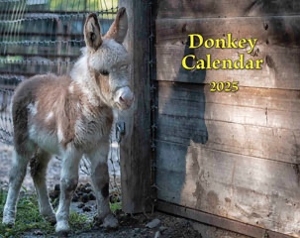 2025 Donkey Calendar